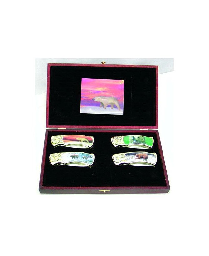 Stainless Steel Bear Box Knife Set | 4 Pcs Collection
