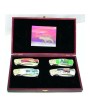 Stainless Steel Bear Box Knife Set | 4 Pcs Collection