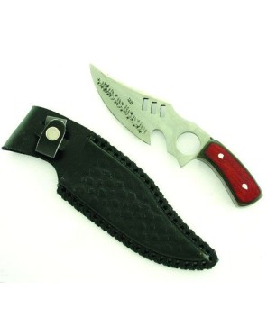 Gator Back Stainless Steel Hunting Knife - Premium Quality Gear