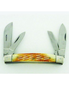 Four Blade Bone Stainless Pocket Knife