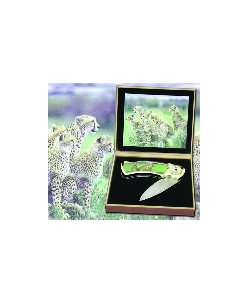 Glamorous Cheetah Family Folding Knife - Stainless Steel