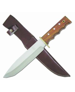 Superior Apalcian Bowie Knife | Stainless Steel