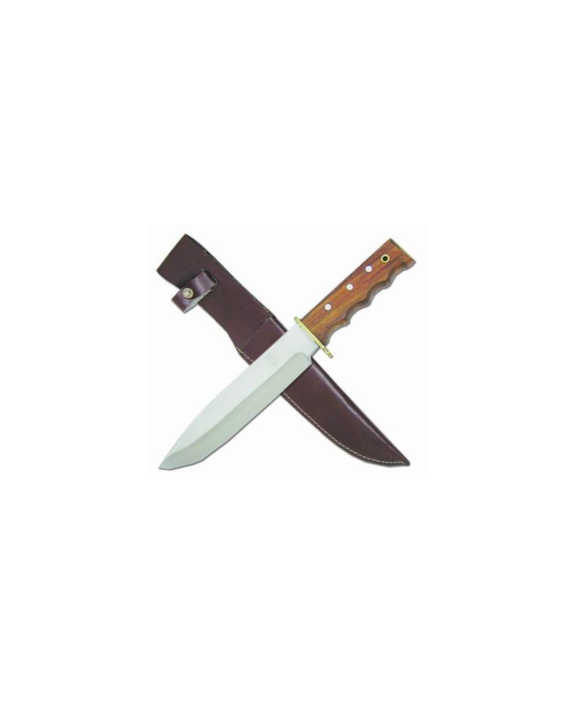 Superior Apalcian Bowie Knife | Stainless Steel