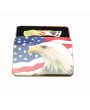 2 Jewel Bald Eagle