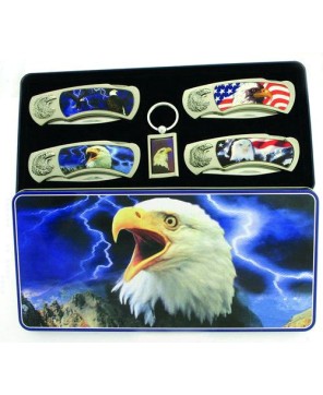 American Bald Eagle 4 Piece Tin Box