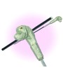 Walk the Dog Cane Sword