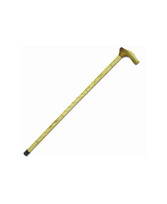 Walking Stick