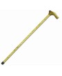 Walking Stick