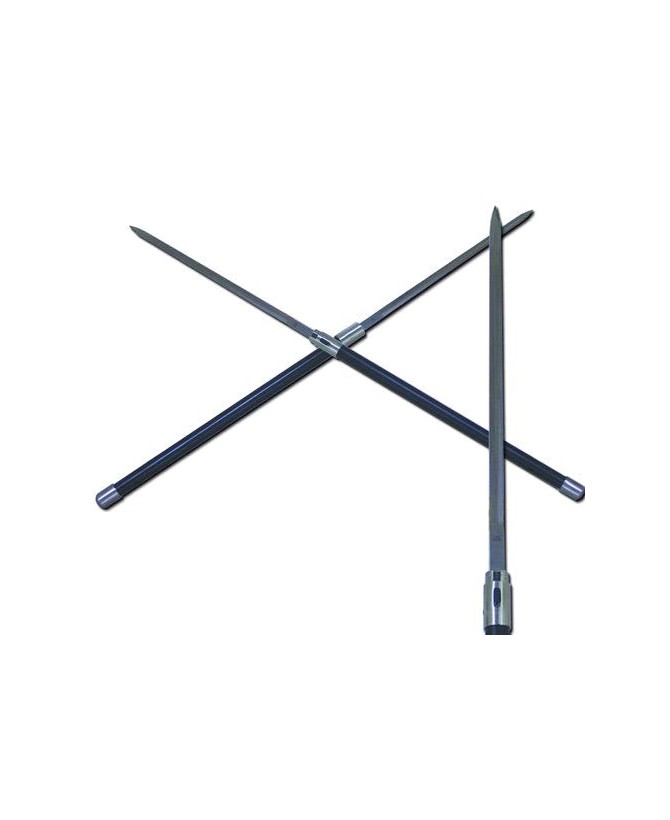 Double Sword