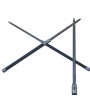 Double Sword