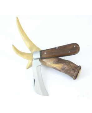 HAWKBILL KNIFE