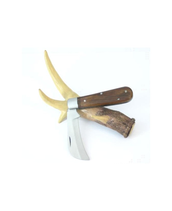 HAWKBILL KNIFE