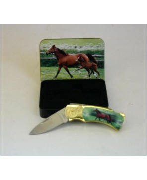 Horse and Colt Box Knife Set - Unique Collectible Stainless Steel