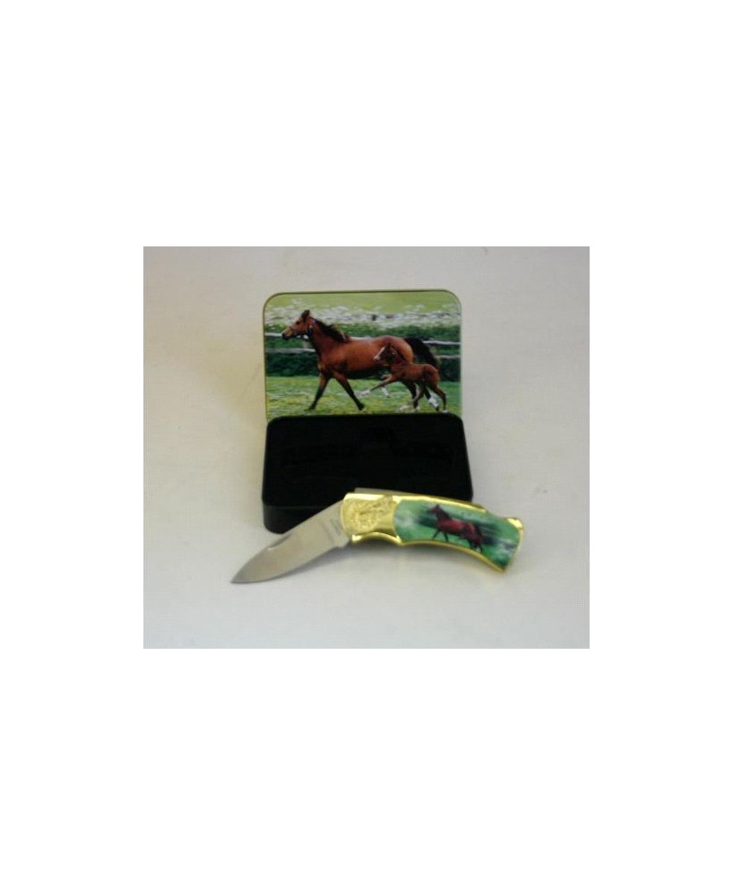 Horse and Colt Box Knife Set - Unique Collectible Stainless Steel