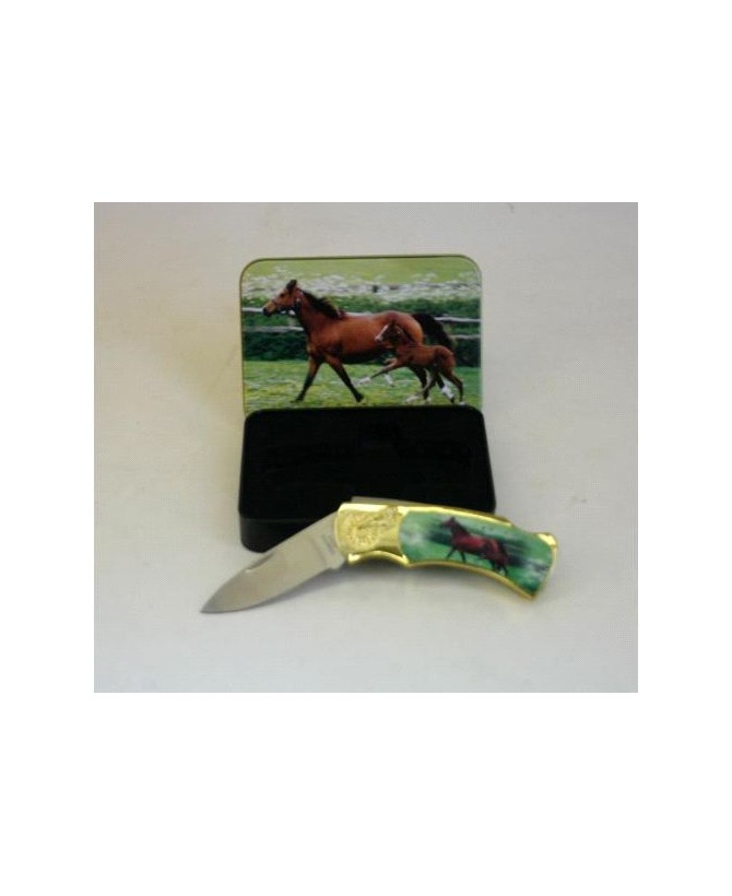 Horse and Colt Box Knife Set - Unique Collectible Stainless Steel