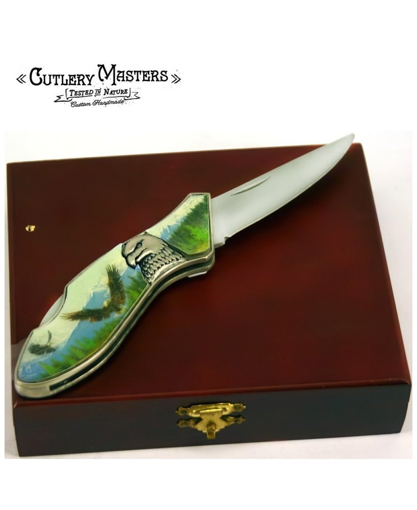 Wood Display Stainless Steel Box Knife - Elegant Collectible Blade