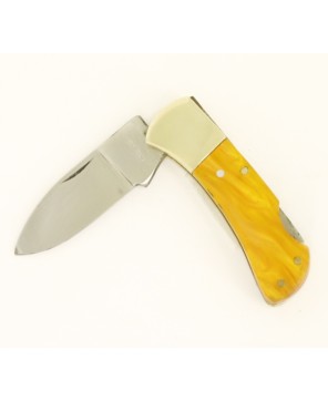 Lock back Plastic Handle Pocket Knife