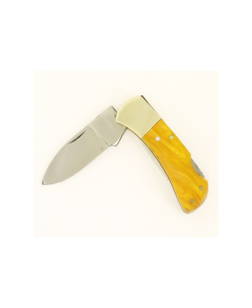 Lock back Plastic Handle Pocket Knife