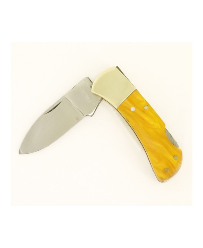 Lock back Plastic Handle Pocket Knife