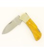 Lock back Plastic Handle Pocket Knife
