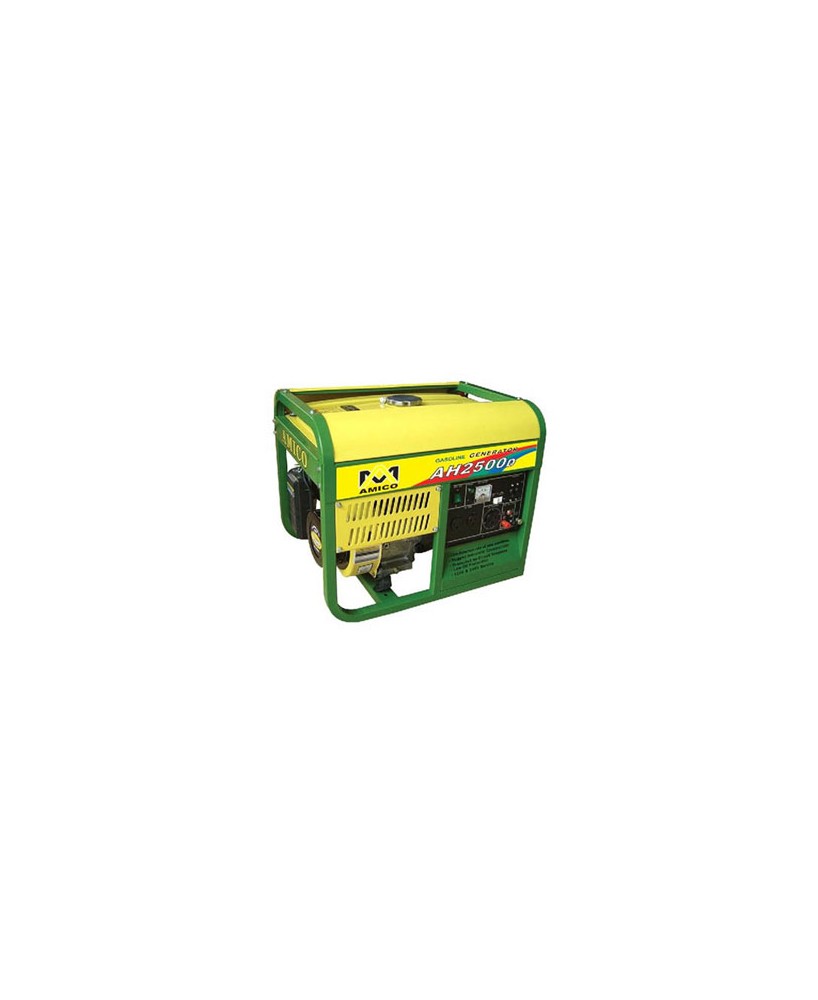 2500W GAS ELECTRIC GENERATOR