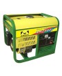 2500W GAS ELECTRIC GENERATOR