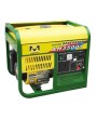 3600W GAS ELECTRIC GENERATOR