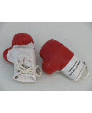 AMERICAN SPORTSMAN BOXER GLOVE