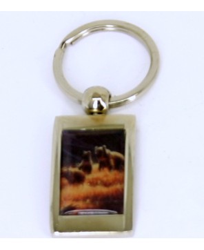 Bear Key Chain