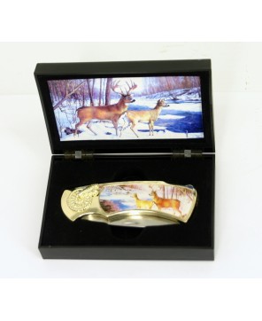 Collectible Stainless Steel Box Knife with Plastic Handle