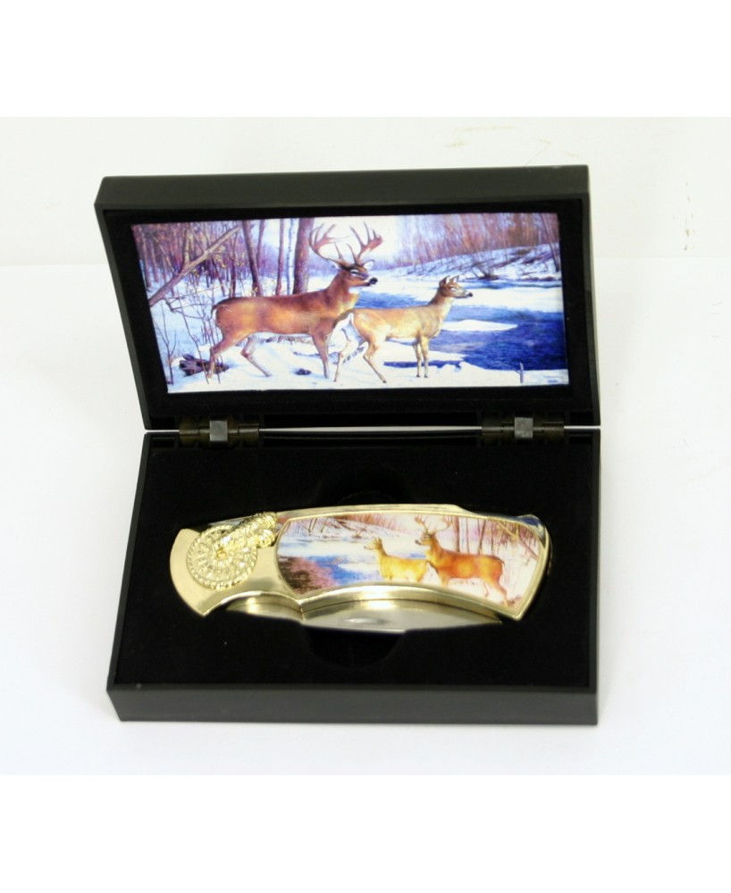 Collectible Stainless Steel Box Knife with Plastic Handle