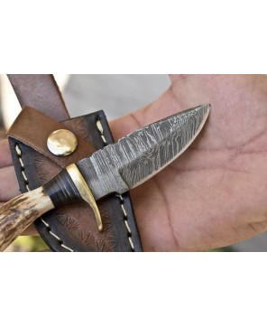 Handcrafted Damascus Skinner Knife with Stag Antler Handle