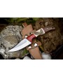 Hand Forged Skinner Knife ATS-34 Steel Bone Wood Bolster