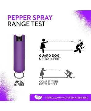 Purple Hard Case Pepper Spray Keychain - Personal Defense