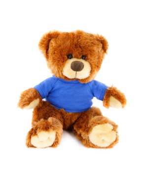 12" Noah Bear Honey - Custom Plush Toy with Embroidered Eyes