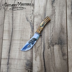 Native Collectors Bear Bowie Knife | Stainless Steel & Stag Handle