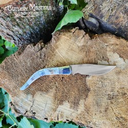 Real Stag Handle Folder Knife - Stainless Steel Blade & Nickle Guard