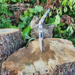 Real Stag Handle Folder Knife - Stainless Steel Blade & Nickle Guard