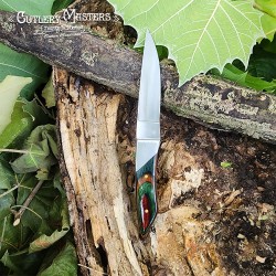 DW Elegance Hunter Knife - Stainless Steel Collector's Piece