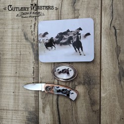 Horses Box Knife Combo with Buckle: Stainless Steel & Metal Guard