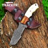 Damascus Tracker Knife | Camel Bone Handle | Handcrafted & Durable