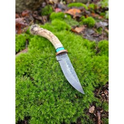 Custom 1095 HCS Knife: Whitetail Antler Handle & Buffalo Nickel