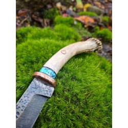 Custom 1095 HCS Knife: Whitetail Antler Handle & Buffalo Nickel