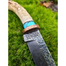 Custom 1095 HCS Knife: Whitetail Antler Handle & Buffalo Nickel