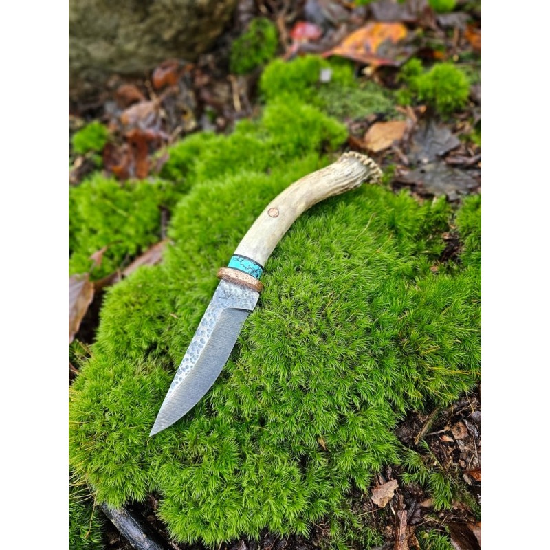 Custom 1095 HCS Knife: Whitetail Antler Handle & Buffalo Nickel