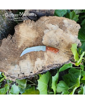 Rosewood Tanto Tip Slayer Knife