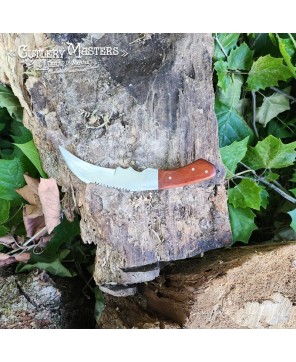 Rosewood Tanto Tip Slayer Knife