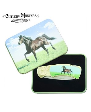 Majestic Equestrian Knife - Proud Show Horse Design in Collector's Tin