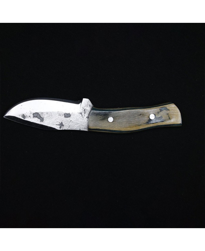 Premium Bushcraft Knife with Carbon Steel Blade and Pakkawood Handle