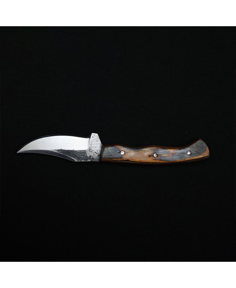 Durable Skinning Knife with Carbon Steel Blade and Color Wood Handle